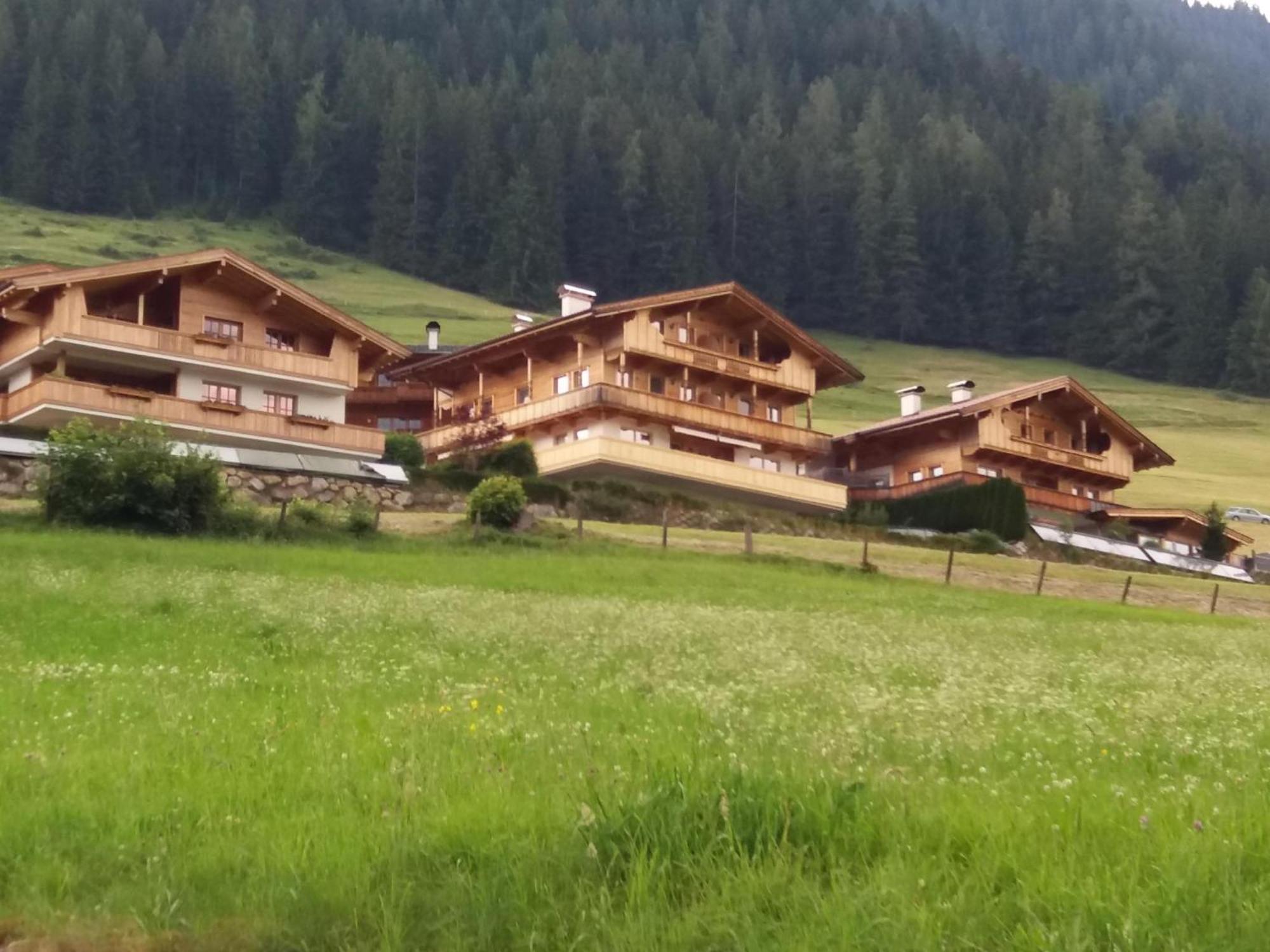 Haus Fernwald Top Rens アルプバッハ エクステリア 写真