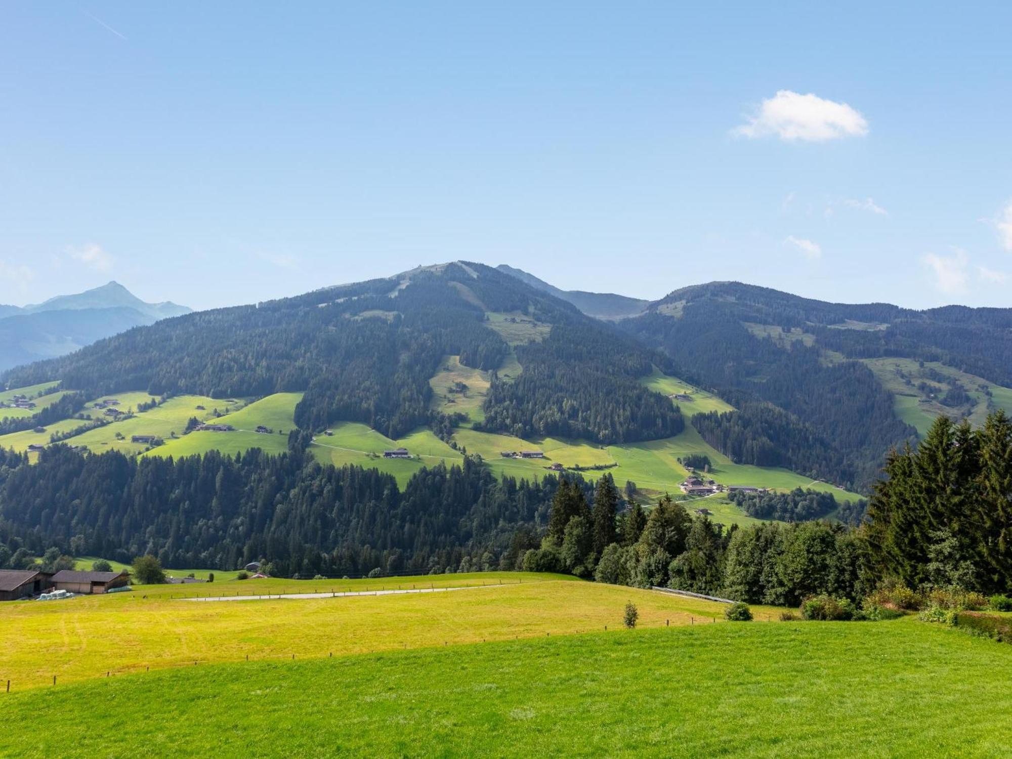 Haus Fernwald Top Rens アルプバッハ エクステリア 写真
