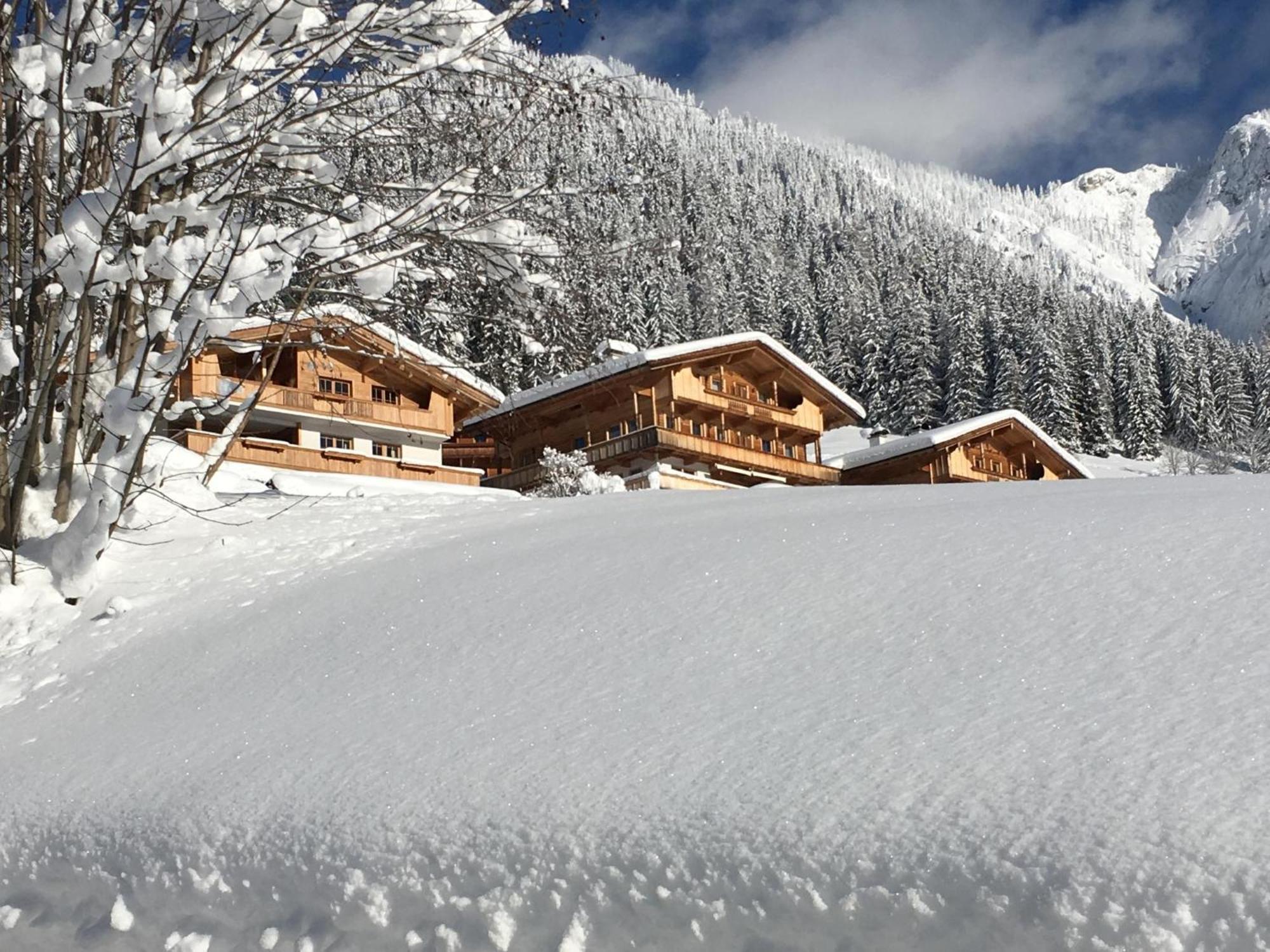 Haus Fernwald Top Rens アルプバッハ エクステリア 写真